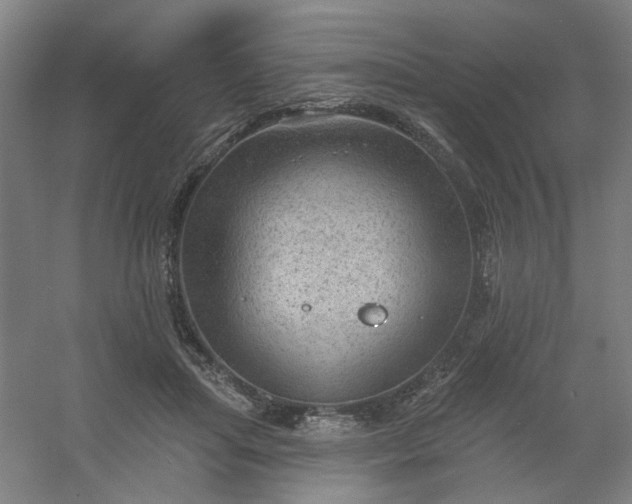 X0000054400455200508121703