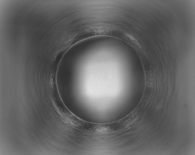 X0000054400456200508121703