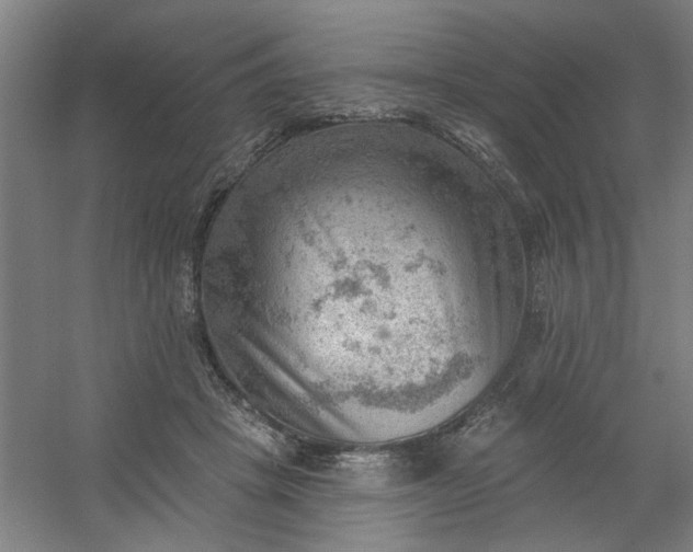 X0000054400457200508121703