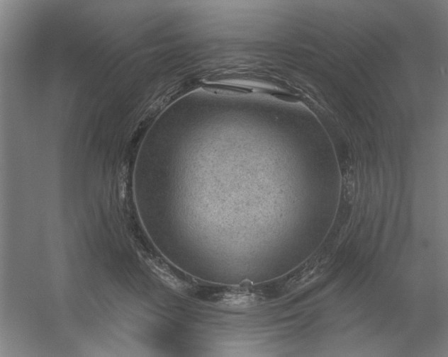 X0000054400458200508121703