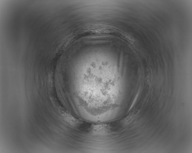 X0000054400461200508121703