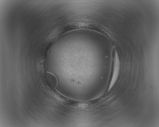 X0000054400462200508121703