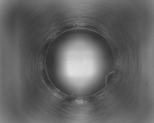 X0000054400464200508121703