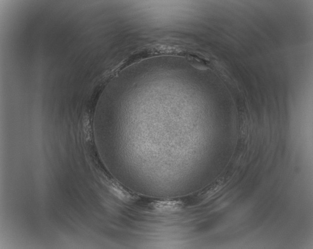 X0000054400465200508121703