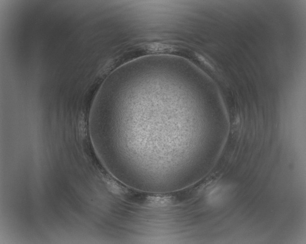 X0000054400469200508121703