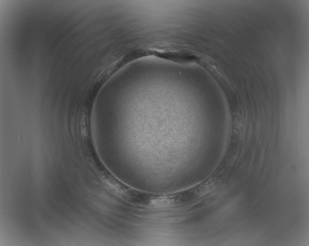 X0000054400470200508121703