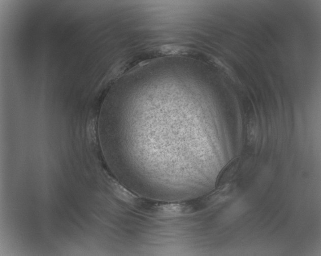 X0000054400473200508121703