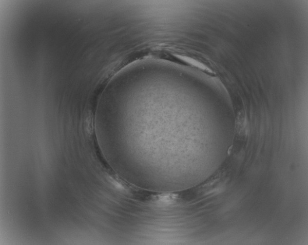 X0000054400474200508121704