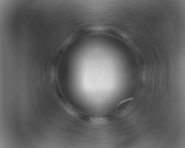 X0000054400476200508121704