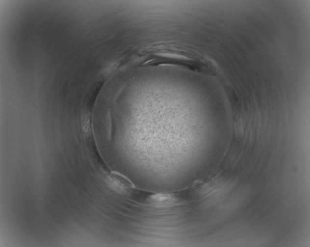 X0000054400477200508121704