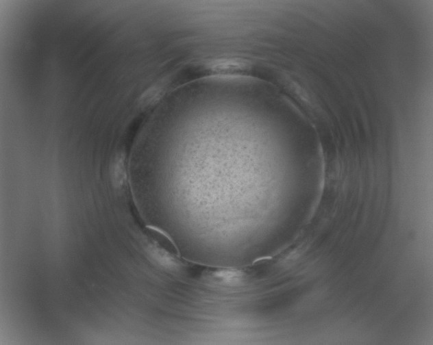 X0000054400478200508121704