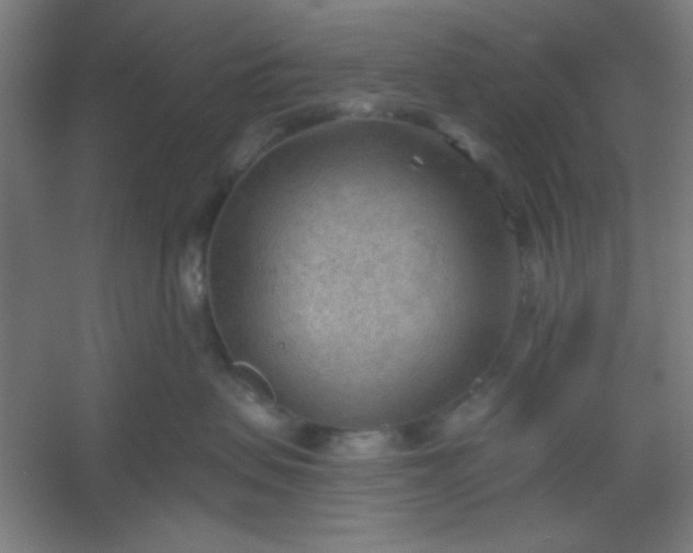 X0000054400479200508121704