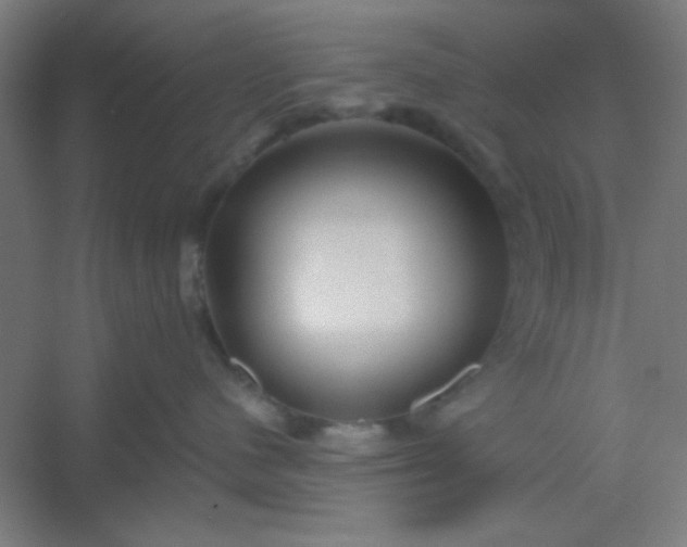 X0000054400480200508121704