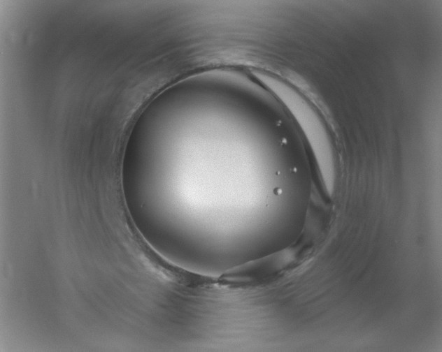 X0000054400481200508121703