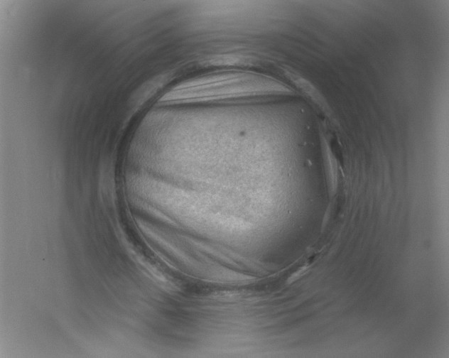 X0000054400482200508121703