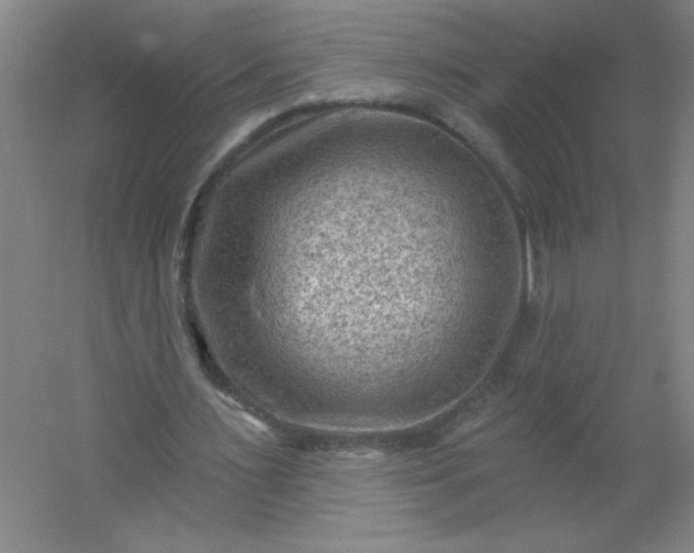 X0000054400483200508121703