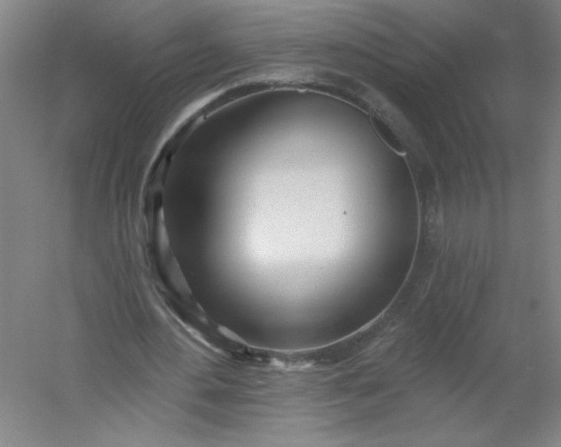 X0000054400484200508121703