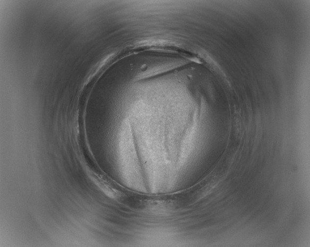 X0000054400486200508121703