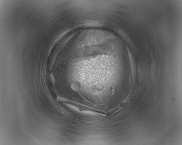 X0000054400487200508121703