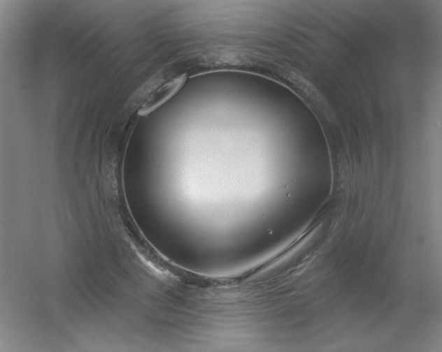 X0000054400489200508121703