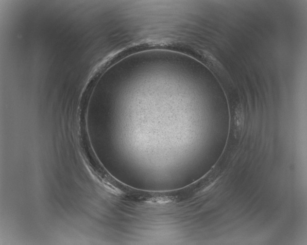 X0000054400492200508121703