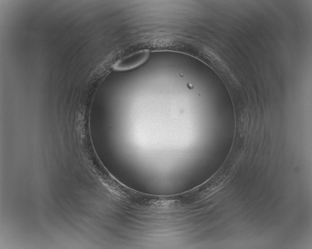 X0000054400497200508121703