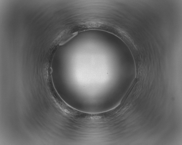 X0000054400501200508121702