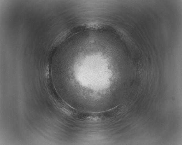 X0000054400502200508121702