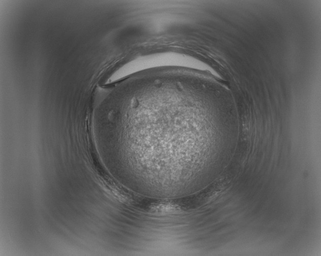 X0000054400503200508121702