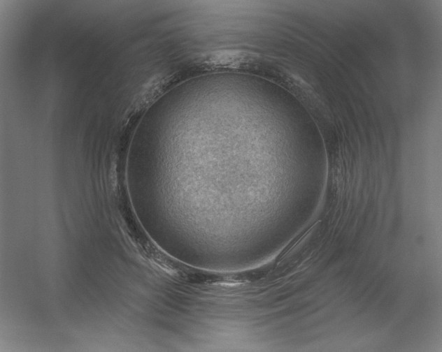 X0000054400504200508121702