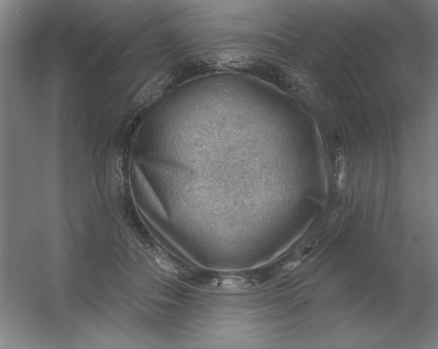 X0000054400506200508121702