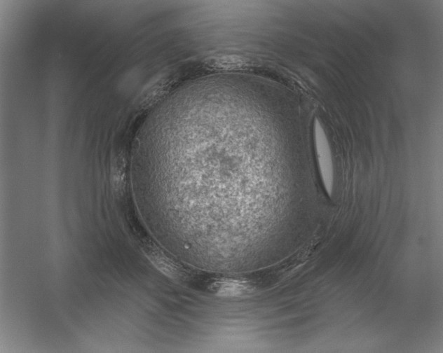 X0000054400507200508121702