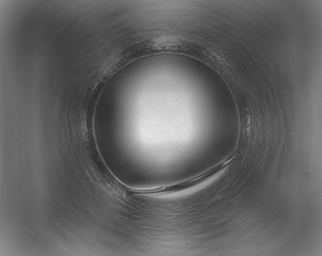 X0000054400508200508121702