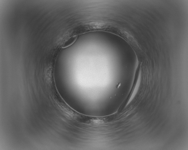 X0000054400509200508121702