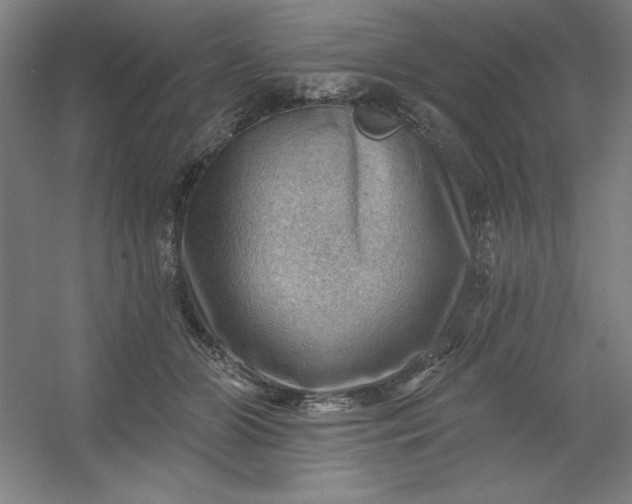 X0000054400510200508121702