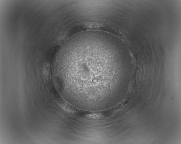 X0000054400511200508121702