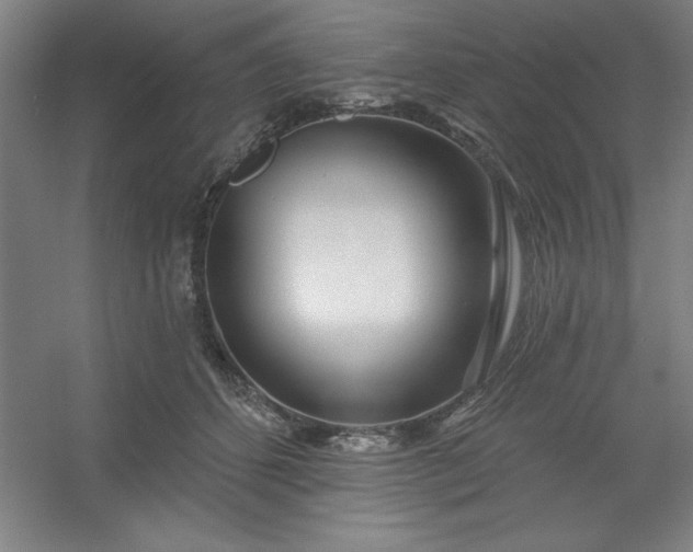 X0000054400512200508121702