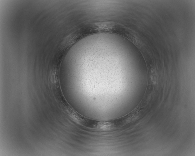 X0000054400514200508121702