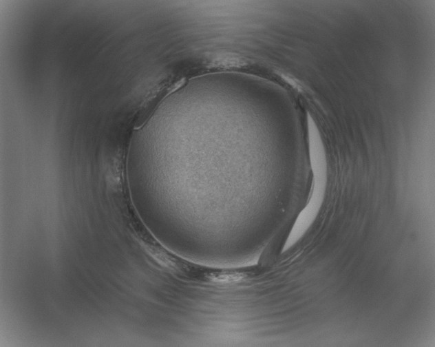 X0000054400517200508121702