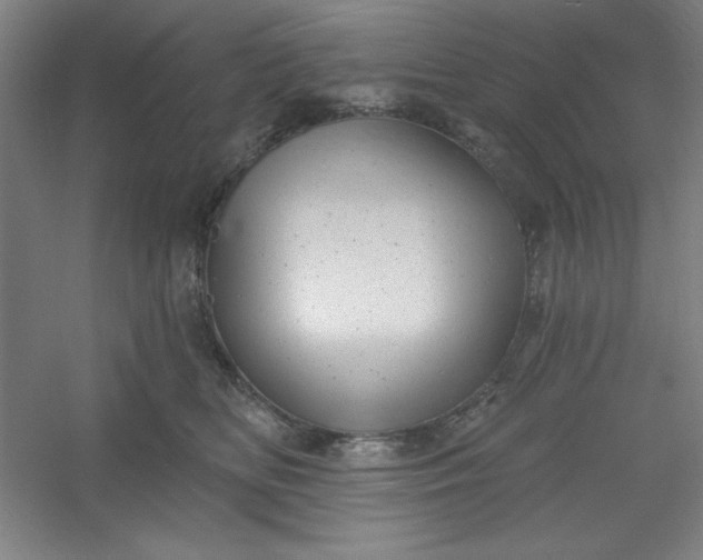 X0000054400518200508121702