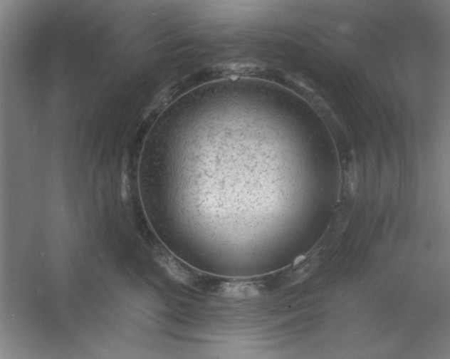 X0000054400520200508121702