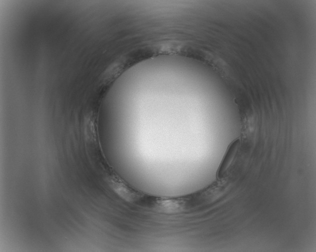 X0000054400522200508121702