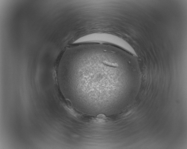 X0000054400523200508121702