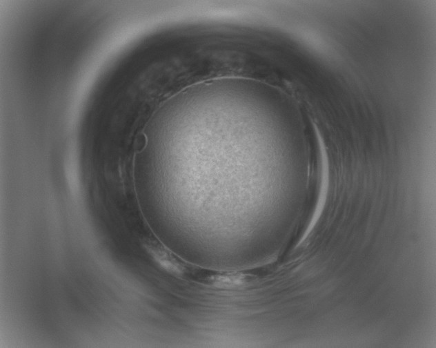 X0000054400524200508121702