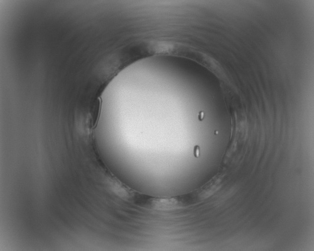 X0000054400525200508121702