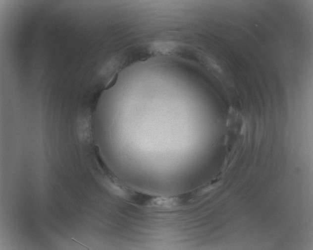 X0000054400526200508121702