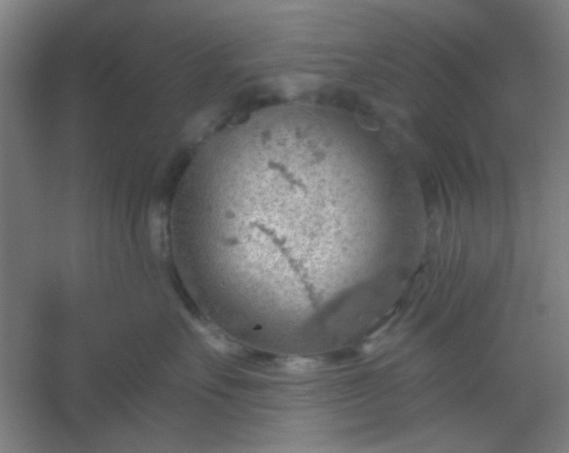 X0000054400527200508121702