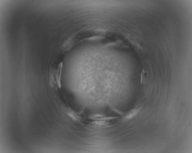 X0000054400528200508121702