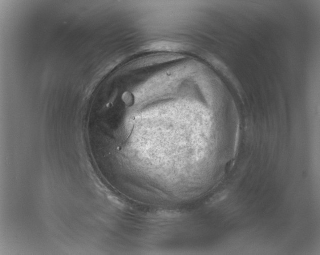 X0000054400529200508121701