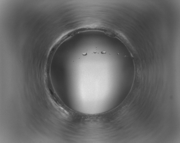 X0000054400532200508121701